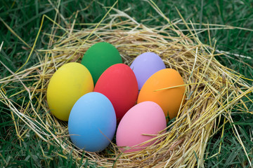 The colorful easter eggs in the nest with green grasses background of front yard