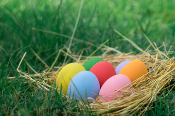 The colorful easter eggs in the nest with green grasses background of front yard
