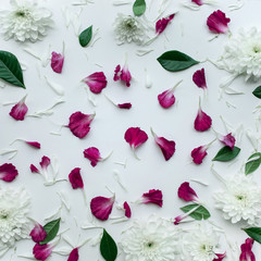 Petal flowers with copy space on white background.Flat lay. Valentines,love and wedding concept