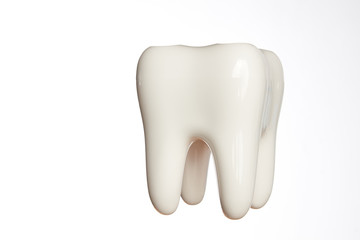 Ceramic tooth model isolated on white