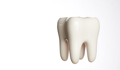 White enamel tooth model isolated on white