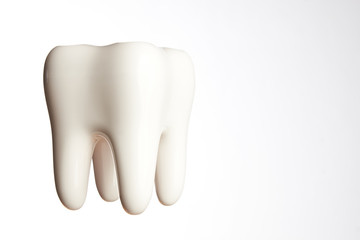 White enamel tooth model isolated on white