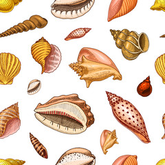 seamless pattern shells or mollusca different forms. sea creature. engraved hand drawn in old sketch, vintage style. nautical or marine, monster or food. animals in the ocean.