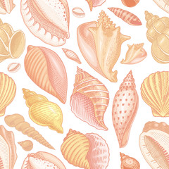 seamless pattern shells or mollusca different forms. sea creature. engraved hand drawn in old sketch, vintage style. nautical or marine, monster or food. animals in the ocean.