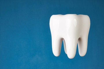 Ceramic tooth model isolated on blue background