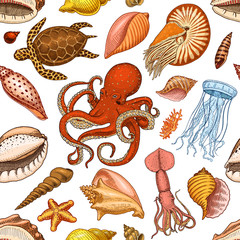 seamless pattern shells, seaweed and octopus and squid. sea life and creature. engraved hand drawn in old sketch, vintage style. nautical or marine, monster or food. animals in the ocean.