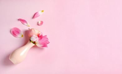 Vase with beautiful flowers on color background