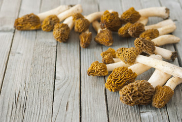 Morels