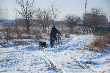 A man with a bicycle and dogs around him in the winter.