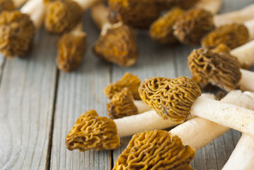 Morels