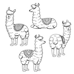 Set of hand drawn cute lama. Vector illustration.