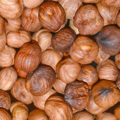 kernels of hazelnut in bulk, without shell
