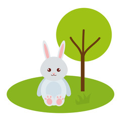 Fototapeta premium cute and tender rabbit in the park character