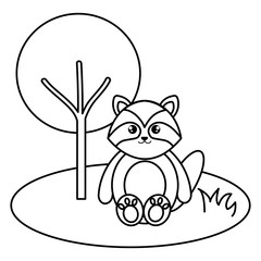 cute and tender raccoon in the camp character