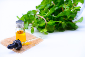 Essential Oils with Peppermint for Health and Spa
