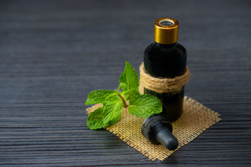 Essential Oils with Peppermint for Health and Spa
