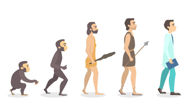 Evolution of doctor