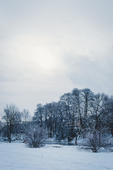 winter landscape with a river