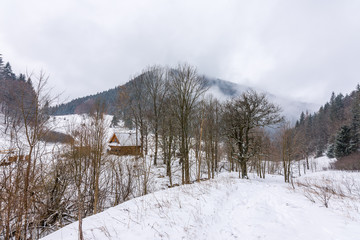 Slovakia national park Mala Fatra, Janosikove diery, Terchova village. Paths in the frost, winter. Hiking and tourism in Slovakia, central Europe