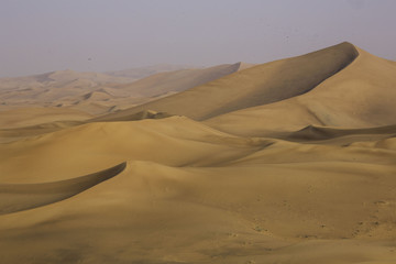 Desert view