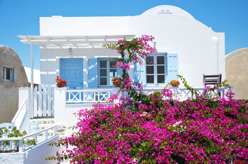 Traditional Greek architecture and pink flowers, Santorini Island, Greece. Beautiful details of Santorini island, white houses, blue doors and shutters, pink flowers, blue sky.