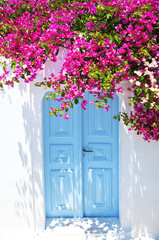 Oude blauwe deur en roze bloemen, traditionele Griekse architectuur, Santorini-eiland, Griekenland. Mooie details van het eiland Santorini, witte huizen, blauwe deuren en luiken, de Egeïsche Zee.