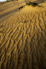 Sand