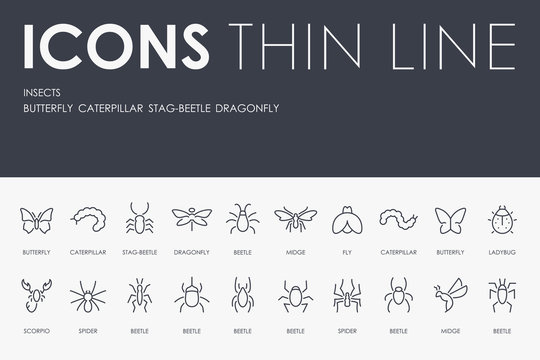INSECTS Thin Line Icons