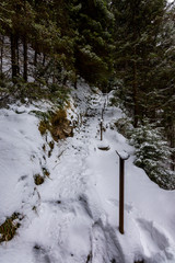 Slovakia national park Mala Fatra, Janosikove diery, Terchova village. Paths in the frost, winter. Hiking and tourism in Slovakia, central Europe