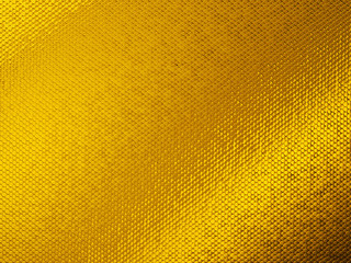 Scales or squama golden texture or background
