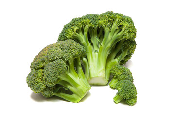 Broccoli cabbage on a white background