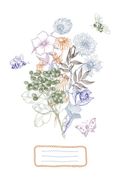 Vintage botanical illustration flower bouquet with place for text. Flower concept. Botanica concept. Vector design.