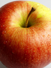 apple detail
