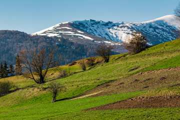 rural field on grassy slope under the blue sky