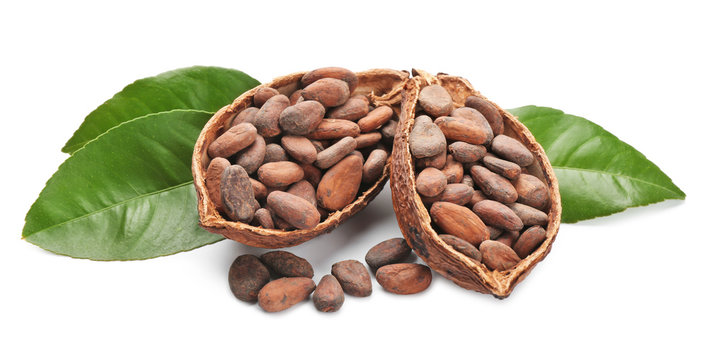 Halves of ripe cocoa pod with beans on white background