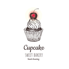 Cherry cupcake, cupcake vector.