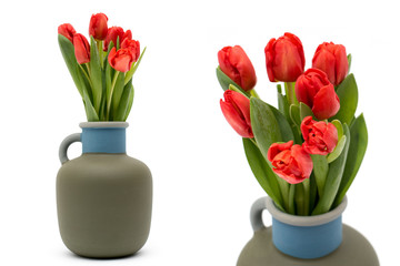 Red tulips in the vase isolated white