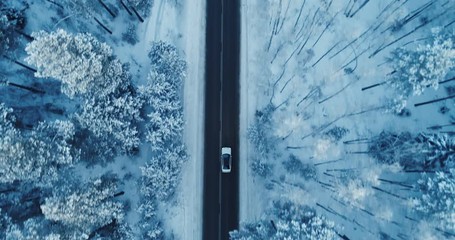 A slow motion of a car riding a country road between snowy pine trees. 4K. - Powered by Adobe
