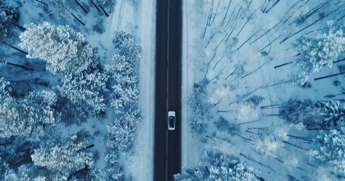 A slow motion of a car riding a country road between snowy pine trees. 4K.