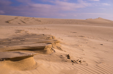 sculpture de sable pilat 09/2017