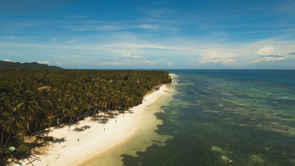 Aerial view of tropical beach on the island Bohol, Anda area, Philippines. Beautiful tropical island with sand beach, palm trees. Tropical landscape: beach with palm trees. Seascape: Ocean, sky, sea