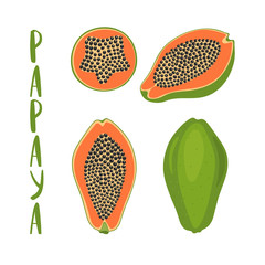 Hand drawn vector illustration of whole and sliced papaya with lettering, isolated on white fon.