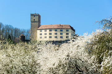 Burg Guttenberg