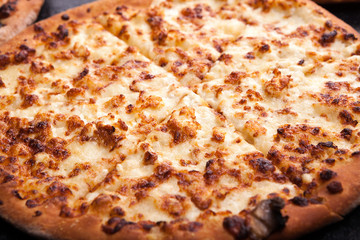 Close up view of vegetarian pizza with cheese only