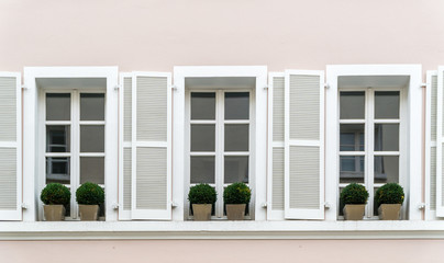 WIndows with plants