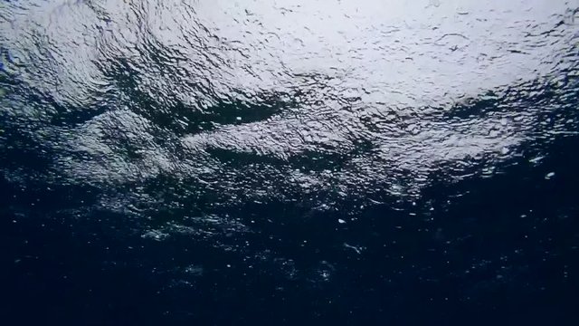 Tropical rain in the ocean (underwater view)

