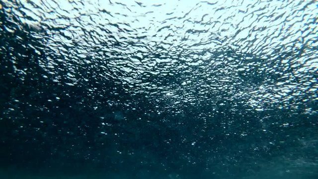 Tropical rain in the ocean (underwater view)
