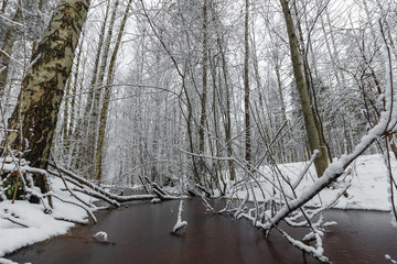 A beautiful snow-covered winter forest. Ice lake and forest streams