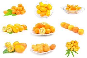 Collage of kumquats isolated on a white background with clipping path