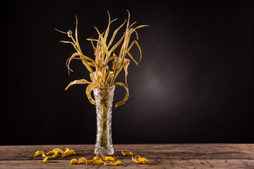Wilted bouquet of yellow tulips